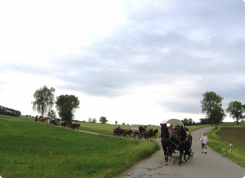 img_1246.jpg
