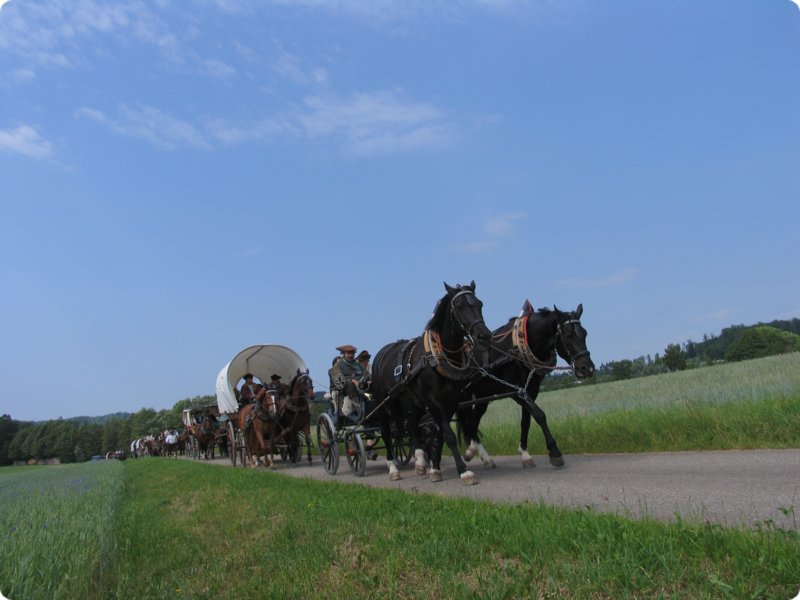 img_1355.jpg