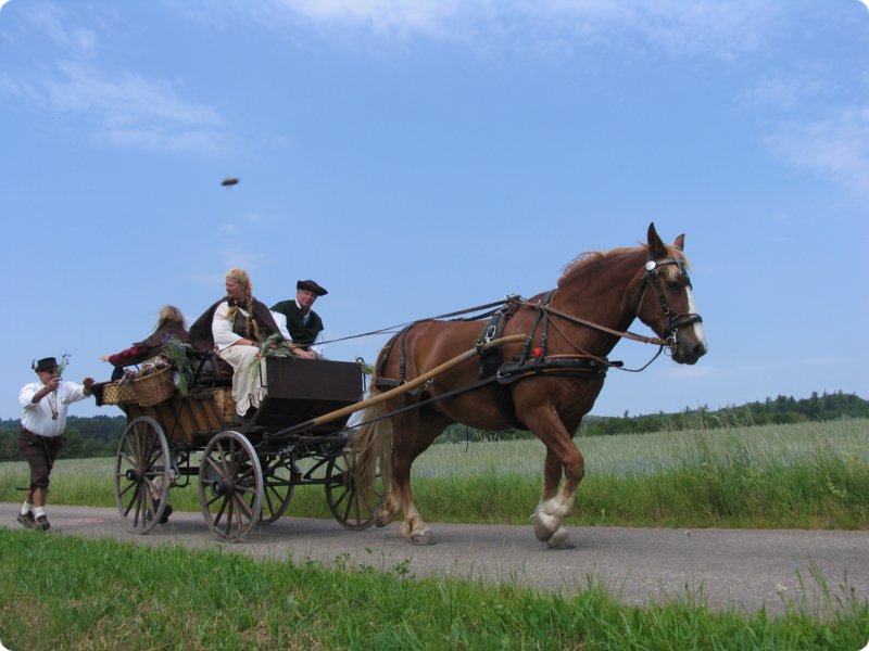 img_1358.jpg