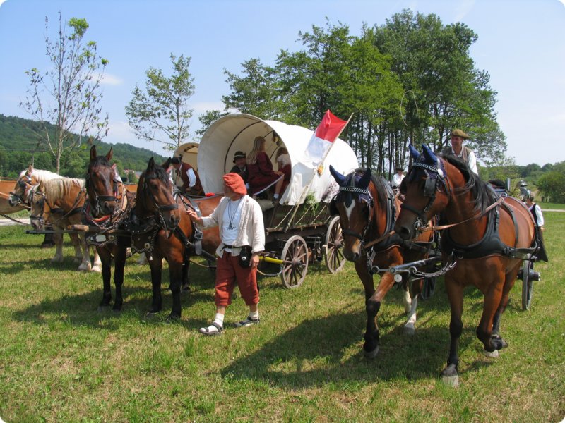 img_1379.jpg
