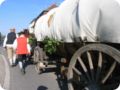 img_1471.jpg