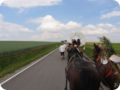 img_1542.jpg