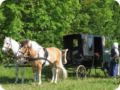 img_1813.jpg