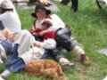 img_2154.jpg