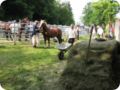 img_1068.jpg