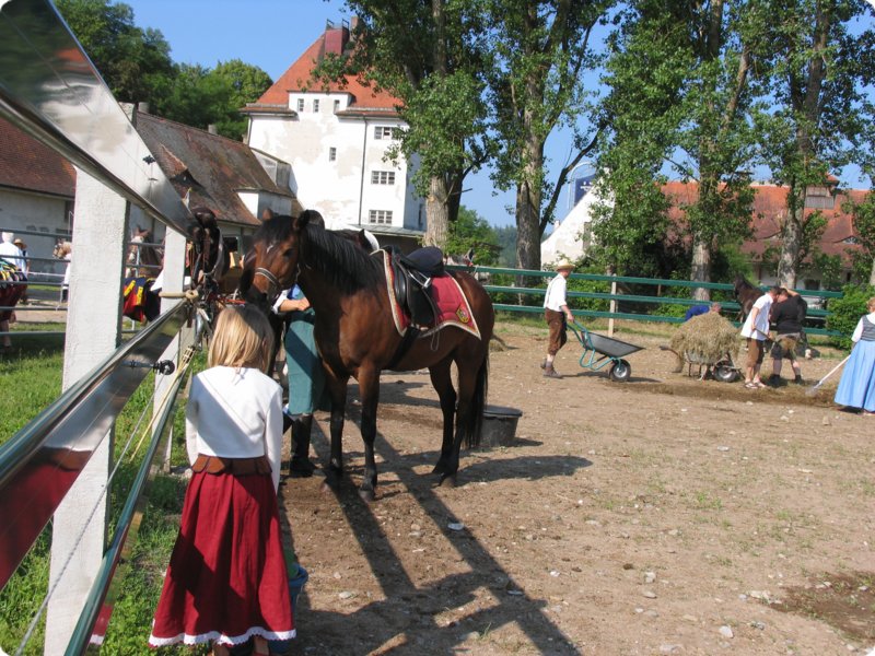 img_3686.jpg