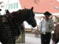 img_3732.jpg