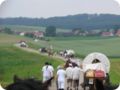 img_3823.jpg