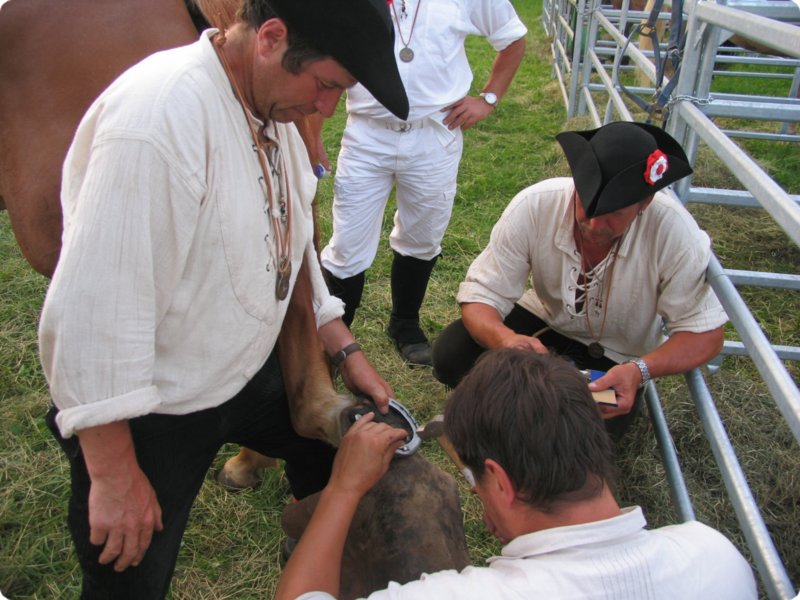 img_3922.jpg