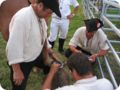img_3922.jpg