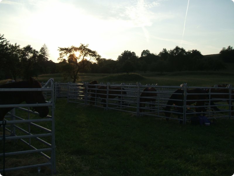dscf0913.jpg
