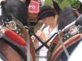 img_3929.jpg