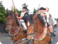 img_5242.jpg