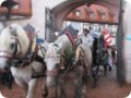 img_5263.jpg