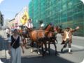 dscf0879.jpg