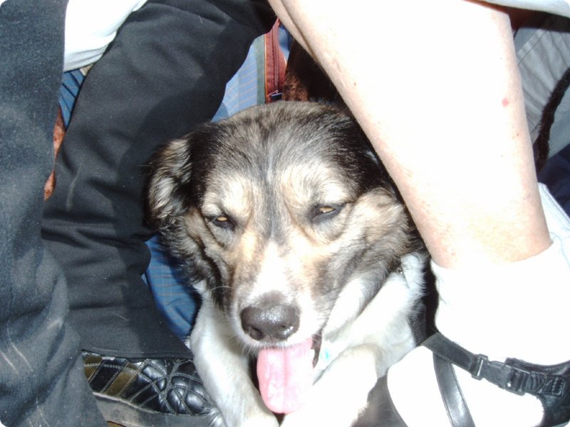 imag0012.jpg