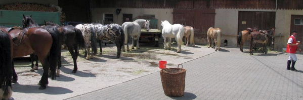 2007-06-11 KMZ Harburg - N�rdlingen (08)