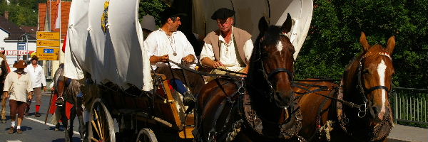 2007 Kaufmannszug (028)