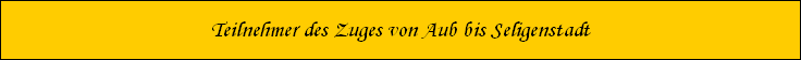 Teilnehmer des Zuges von Aub bis Seligenstadt